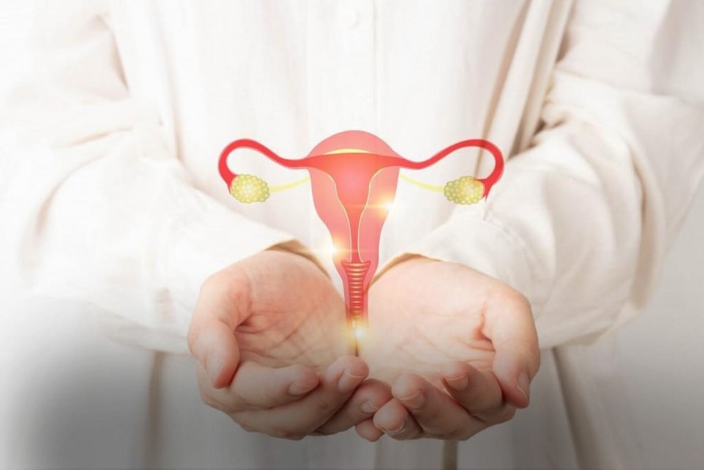 Intravaginal Estrogen Products