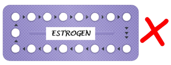 Estrogen