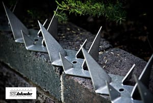 wall spikes