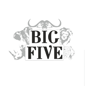 Big Five
