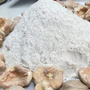Shingoda Flour (Water Chestnut Flour)