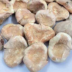 Shingoda Whole (Water Chestnut)