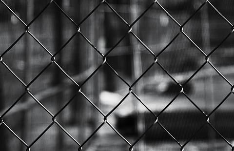Copyrighted_Image_Reuse_Prohibited_950099